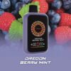 一次性拋棄式電子煙